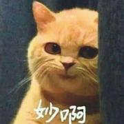 小小轶的全栈路的个人资料头像