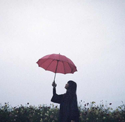 himawari的个人资料头像