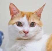 FreMaNgo的个人资料头像