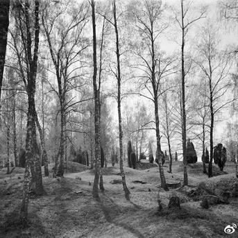 网路冷眼于2018-06-28 17:07发布的图片