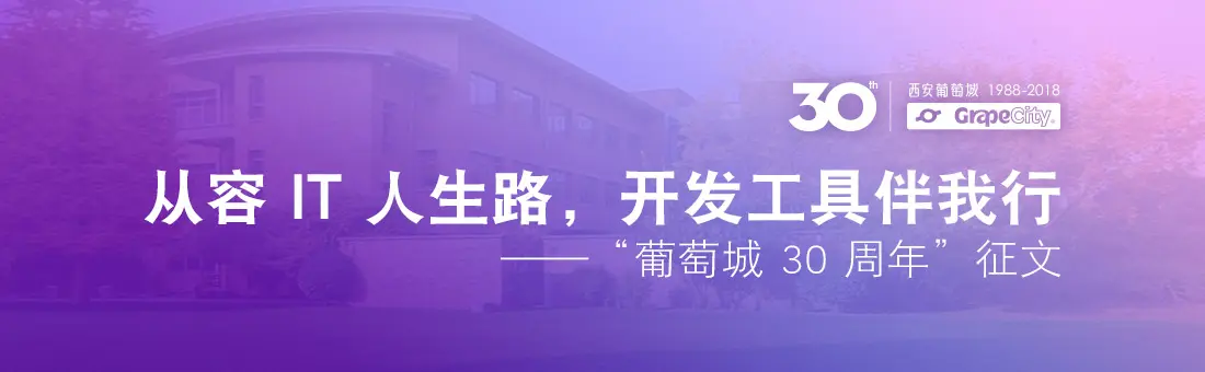 从容 IT 人生路，开发工具伴我行——“葡萄城 30 周年”征文