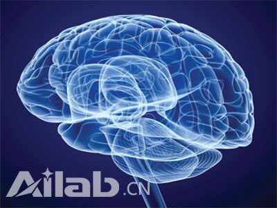 专家谈计算神经科学与类脑人工智能的关系