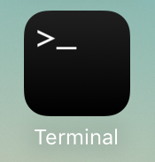 Terminal