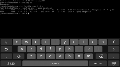 图3 dropbear默认支持USB连接