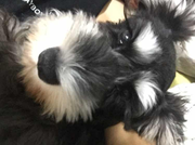 VicLee的个人资料头像