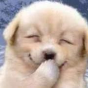 上心在掘金的个人资料头像