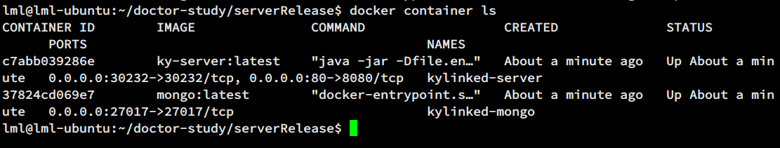 Docker 容器运行状态