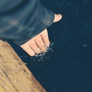 Yayanh的个人资料头像