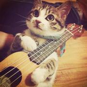 _同学26029的个人资料头像