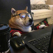 掘金校尉的个人资料头像