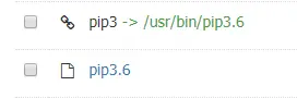 pip3