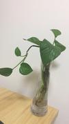 Summer_ZhuQiong的个人资料头像