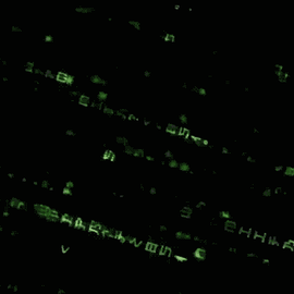 阴明于2018-07-11 11:21发布的图片