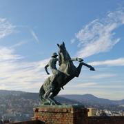 mushenzhifeng的个人资料头像