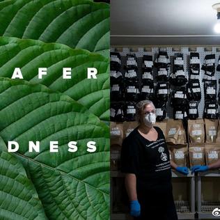 网路冷眼于2018-07-12 04:45发布的图片