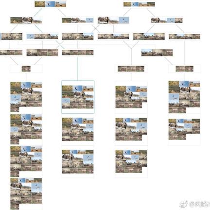 网路冷眼于2018-07-12 12:45发布的图片