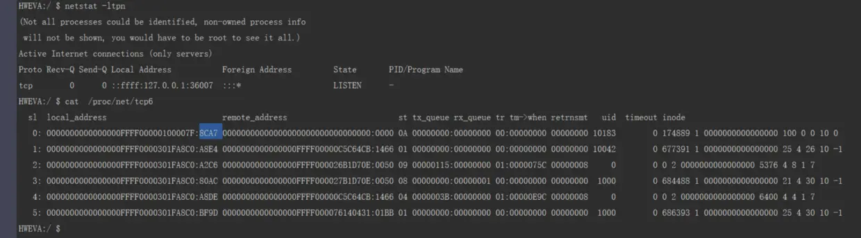 /proc/net/tcp6文件