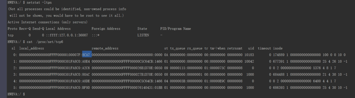/proc/net/tcp6文件
