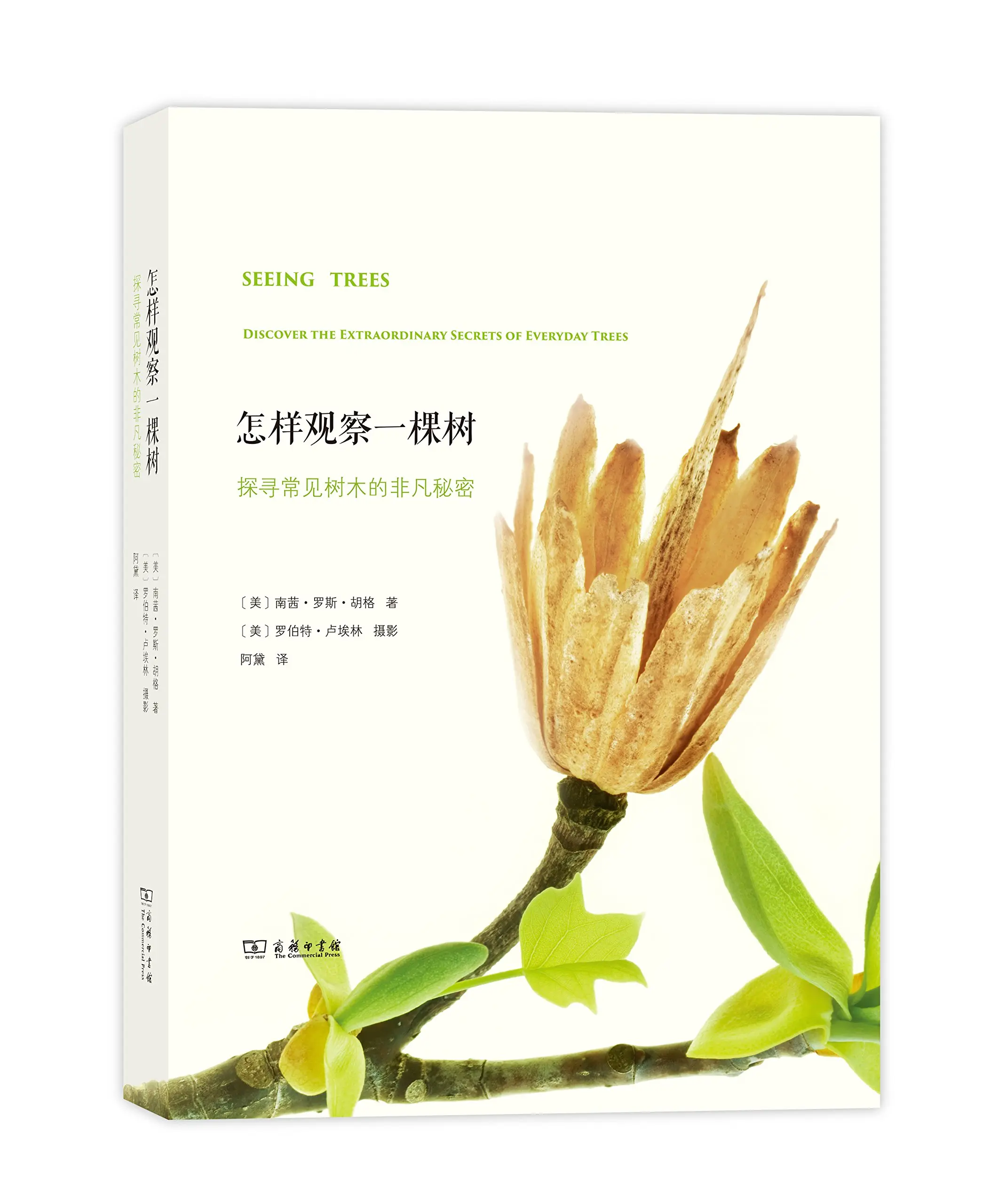 image.png | left | 300x359.0462833099579