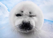 杰里的个人资料头像