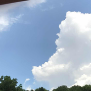 那只蜗牛的个人资料头像