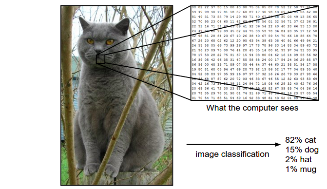 计算机如何看到图像。- 来源：http：//cs231n.github.io/classification/