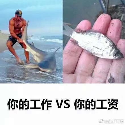 Tonychen于2018-07-19 20:16发布的图片