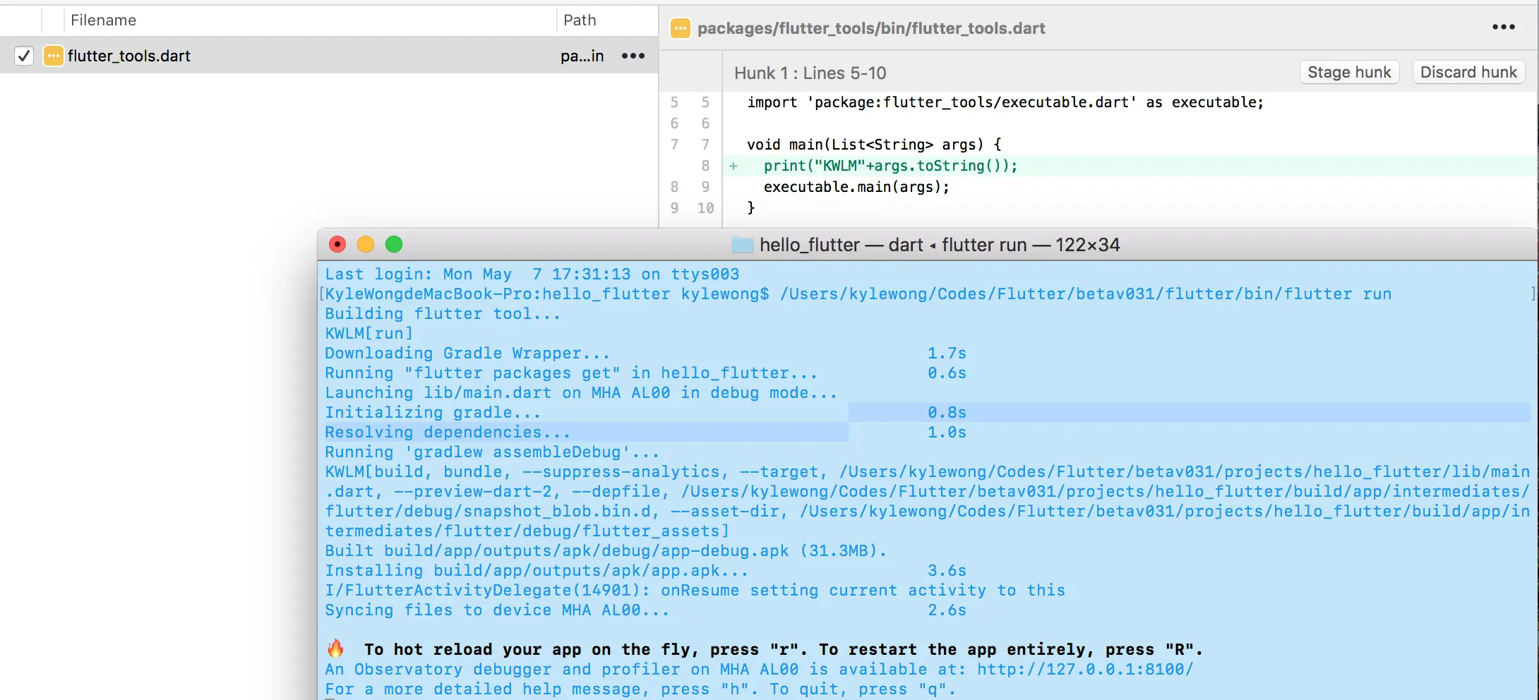 Flutter tools print args