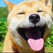 谁还没写过bug的个人资料头像