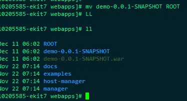 直接将项目命令为ROOT