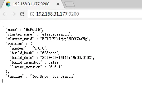 ES启动成功效果