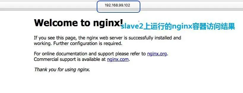 192.168.99.102（slave2）上nginx容器访问结果