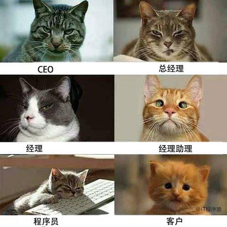 程序员趣事于2018-07-22 23:19发布的图片