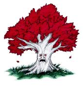 梁桥的个人资料头像