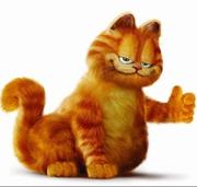 爱吃猴子的香蕉的个人资料头像