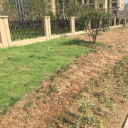 顺其自然宁静的个人资料头像