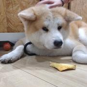 游羡的个人资料头像