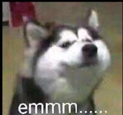 单倍行间距的个人资料头像