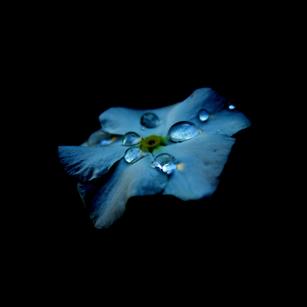 DebugUsery于2018-07-27 15:32发布的图片