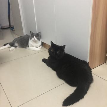 中药接骨散于2018-07-03 22:50发布的图片