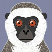 野生程序猿的个人资料头像