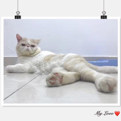 喜马拉雅yuki于2018-07-30 11:28发布的图片