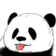 玩双截棍的熊猫的个人资料头像