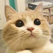 hisiri的个人资料头像