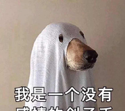 ailinal的个人资料头像