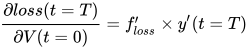 \frac{\partial loss(t=T)}{\partial V(t=0)}=f_{loss}'\times y'(t=T) 