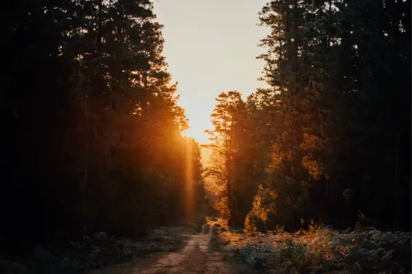 nada-636066-unsplash