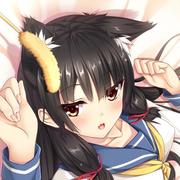 shell0108的个人资料头像