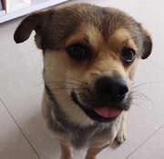 波波君21025的个人资料头像