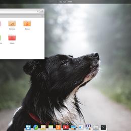 一颗桃子于2018-07-04 15:40发布的图片